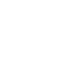 NFL logo